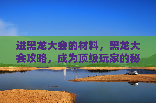 进黑龙大会的材料,黑龙大会攻略,成为顶级玩家的秘诀 进黑龙大会的材料,黑龙大会攻略,成为顶级玩家的秘诀