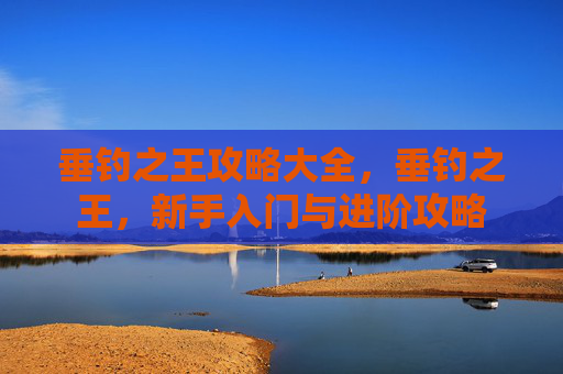 垂钓之王攻略大全,垂钓之王,新手入门与进阶攻略 垂钓之王攻略大全,垂钓之王,新手入门与进阶攻略