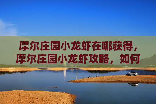 摩尔庄园小龙虾在哪获得，摩尔庄园小龙虾攻略，如何轻松获得美味的小龙虾