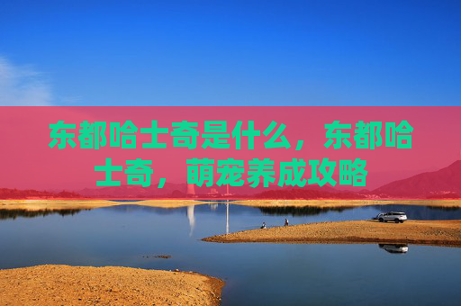 东都哈士奇是什么，东都哈士奇，萌宠养成攻略