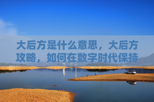 大后方是什么意思,大后方攻略,如何在数字时代保持信息优势 大后方是什么意思,大后方攻略,如何在数字时代保持信息优势