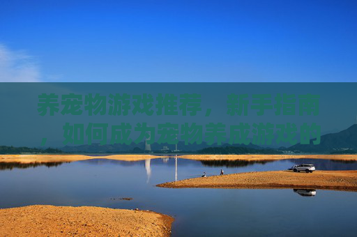 养宠物游戏推荐,新手指南,如何成为宠物养成游戏的高手? 养宠物游戏推荐,新手指南,如何成为宠物养成游戏的高手?