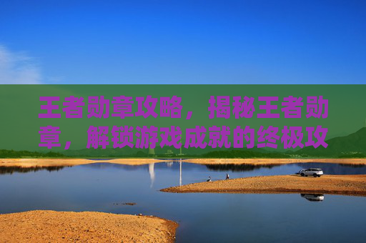 王者勋章攻略,揭秘王者勋章,解锁游戏成就的终极攻略 王者勋章攻略,揭秘王者勋章,解锁游戏成就的终极攻略