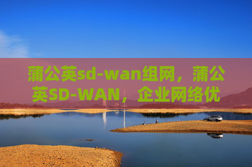 蒲公英sd-wan组网，蒲公英SD-WAN，企业网络优化的利器