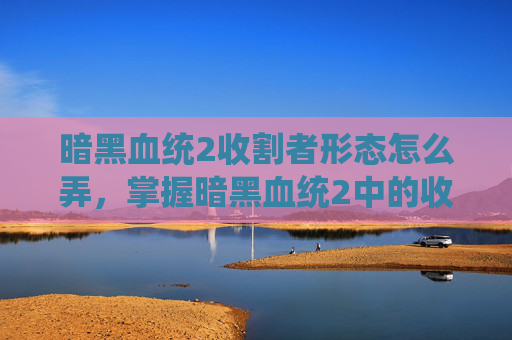 暗黑血统2收割者形态怎么弄,掌握暗黑血统2中的收割者形态,终极攻略 暗黑血统2收割者形态怎么弄,掌握暗黑血统2中的收割者形态,终极攻略