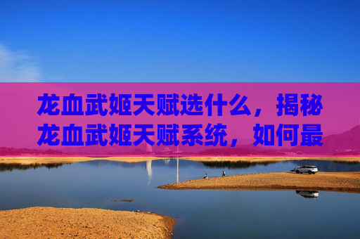 龙血武姬天赋选什么，揭秘龙血武姬天赋系统，如何最大化你的战斗力