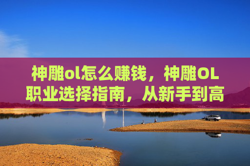 神雕ol怎么赚钱，神雕OL职业选择指南，从新手到高手的全面攻略