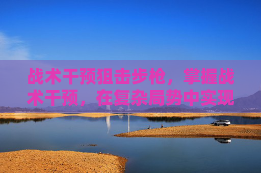 战术干预狙击步枪，掌握战术干预，在复杂局势中实现有效决策