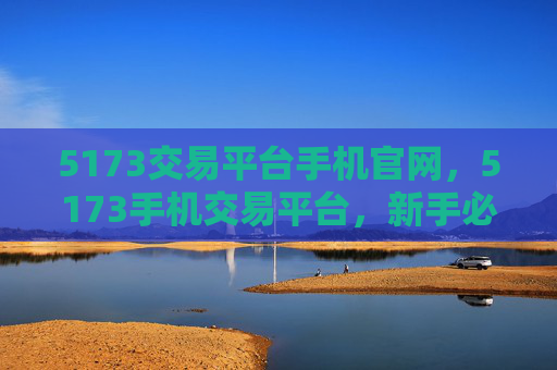 5173交易平台手机官网，5173手机交易平台，新手必看指南，让你轻松交易二手手机