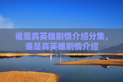 谁是真英雄剧情介绍分集，谁是真英雄剧情介绍