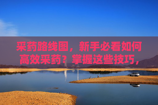 采药路线图,新手必看如何高效采药?掌握这些技巧,让你的冒险之旅更加丰富多彩! 采药路线图,新手必看如何高效采药?掌握这些技巧,让你的冒险之旅更加丰富多彩!