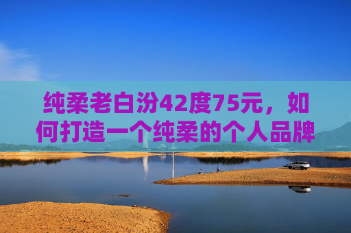 纯柔老白汾42度75元，如何打造一个纯柔的个人品牌？