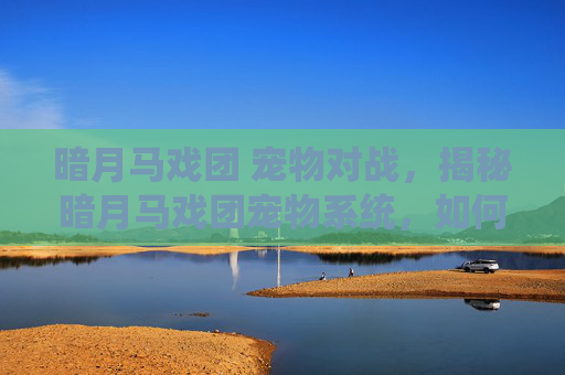 暗月马戏团 宠物对战,揭秘暗月马戏团宠物系统,如何培养你的专属伙伴? 暗月马戏团 宠物对战,揭秘暗月马戏团宠物系统,如何培养你的专属伙伴?