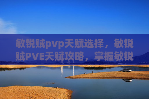 敏锐贼pvp天赋选择，敏锐贼PVE天赋攻略，掌握敏锐贼的精髓