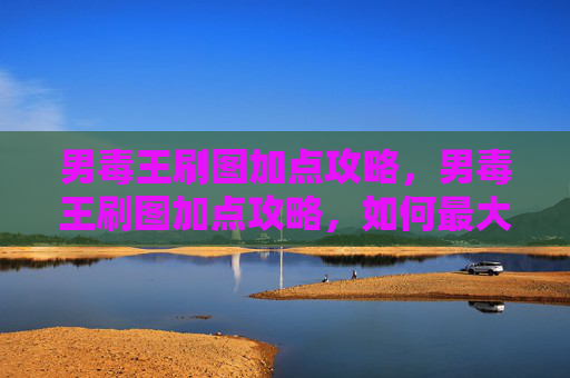 男毒王刷图加点攻略,男毒王刷图加点攻略,如何最大化你的输出与生存能力 男毒王刷图加点攻略,男毒王刷图加点攻略,如何最大化你的输出与生存能力