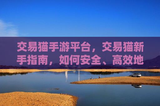 交易猫手游平台，交易猫新手指南，如何安全、高效地在交易猫平台上进行游戏账号买卖