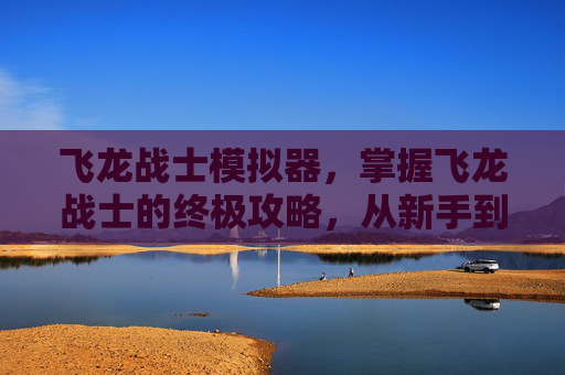 飞龙战士模拟器,掌握飞龙战士的终极攻略,从新手到高手的全面指南 飞龙战士模拟器,掌握飞龙战士的终极攻略,从新手到高手的全面指南