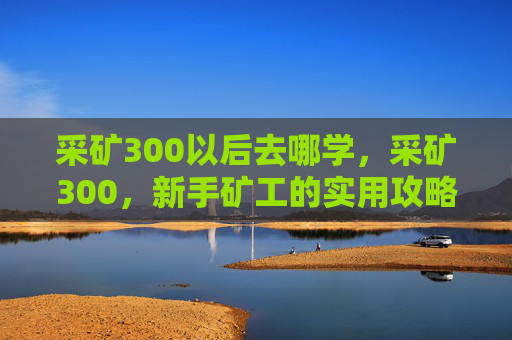采矿300以后去哪学，采矿300，新手矿工的实用攻略