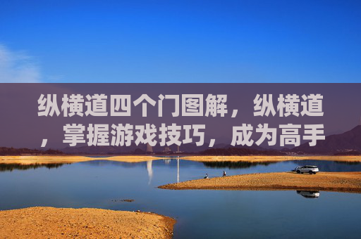 纵横道四个门图解，纵横道，掌握游戏技巧，成为高手玩家