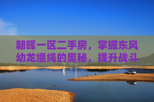 朝晖一区二手房，掌握东风幼龙缰绳的奥秘，提升战斗效率与策略运用