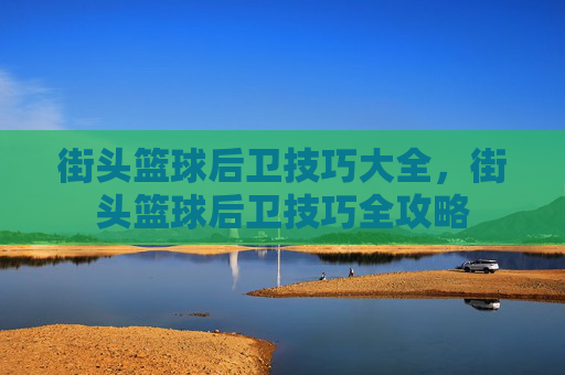 街头篮球后卫技巧大全,街头篮球后卫技巧全攻略 街头篮球后卫技巧大全,街头篮球后卫技巧全攻略