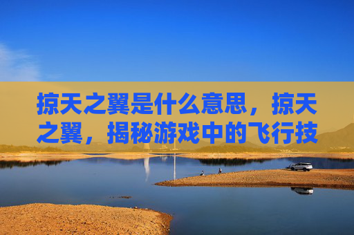 掠天之翼是什么意思，掠天之翼，揭秘游戏中的飞行技巧与策略