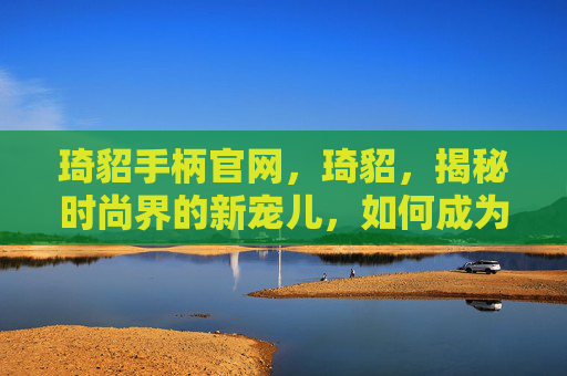 琦貂手柄官网，琦貂，揭秘时尚界的新宠儿，如何成为街头焦点？
