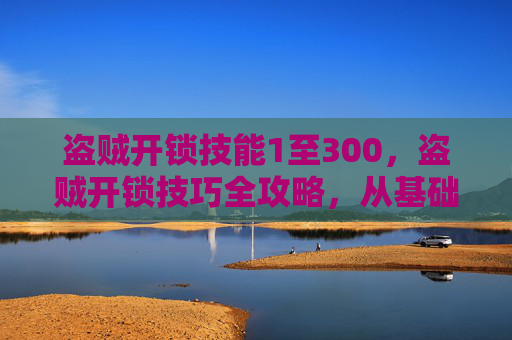 盗贼开锁技能1至300，盗贼开锁技巧全攻略，从基础到高级，让你成为真正的开锁高手