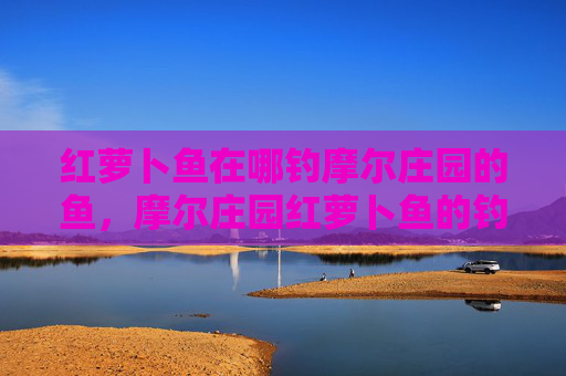 红萝卜鱼在哪钓摩尔庄园的鱼，摩尔庄园红萝卜鱼的钓鱼技巧与攻略