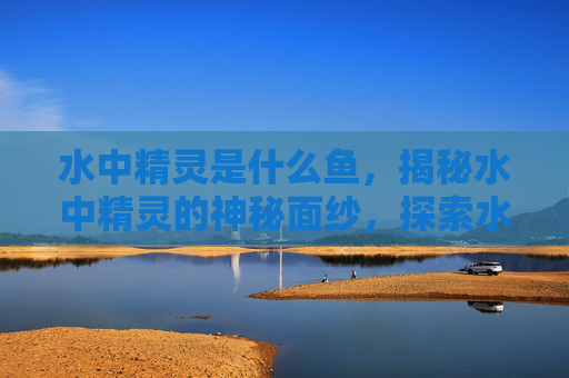 水中精灵是什么鱼，揭秘水中精灵的神秘面纱，探索水下世界的奇妙生物