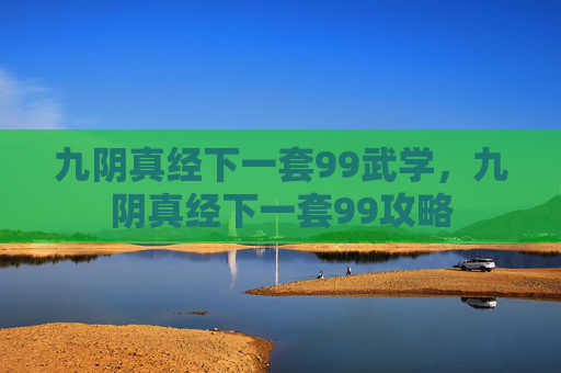九阴真经下一套99武学，九阴真经下一套99攻略