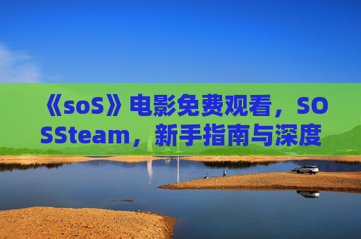 《soS》电影免费观看，SOSSteam，新手指南与深度解析