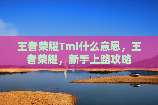 王者荣耀Tmi什么意思,王者荣耀,新手上路攻略 王者荣耀Tmi什么意思,王者荣耀,新手上路攻略