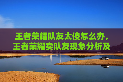 王者荣耀队友太傻怎么办，王者荣耀卖队友现象分析及应对策略
