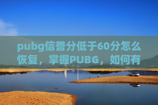 pubg信誉分低于60分怎么恢复，掌握PUBG，如何有效提高你的信誉分