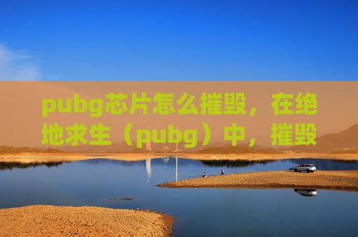 pubg芯片怎么摧毁，在绝地求生（pubg）中，摧毁唱片是获取游戏内货币和装备的重要手段之一。以下是一份攻略，旨在帮助玩家更有效地摧毁唱片