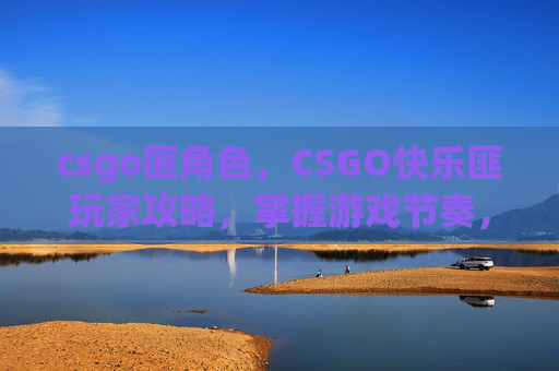 csgo匪角色,CSGO快乐匪玩家攻略,掌握游戏节奏,享受胜利的喜悦 csgo匪角色,CSGO快乐匪玩家攻略,掌握游戏节奏,享受胜利的喜悦