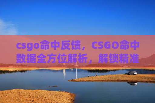 csgo命中反馈，CSGO命中数据全方位解析，解锁精准射击胜率策略，助你突破游戏体验瓶颈