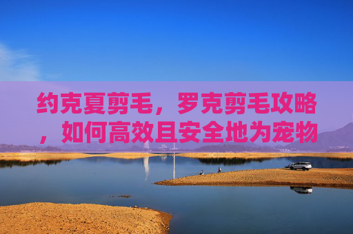 约克夏剪毛，罗克剪毛攻略，如何高效且安全地为宠物进行毛发修剪