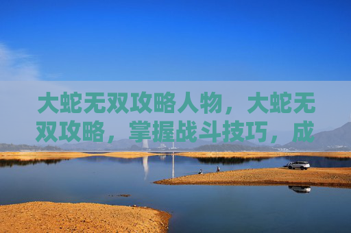 大蛇无双攻略人物，大蛇无双攻略，掌握战斗技巧，成为无双之王