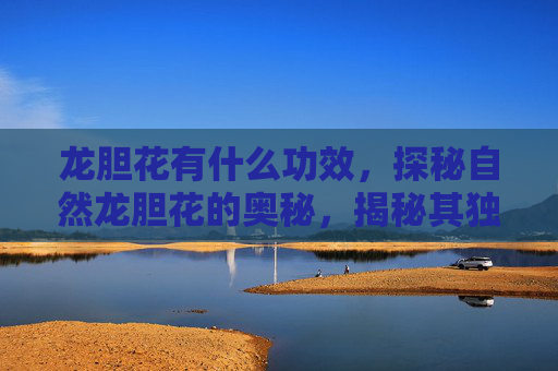 龙胆花有什么功效，探秘自然龙胆花的奥秘，揭秘其独特之美与药用价值
