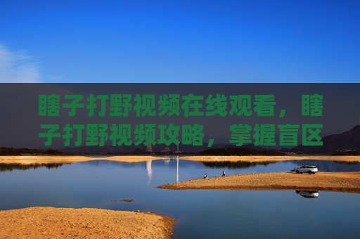 瞎子打野视频在线观看，瞎子打野视频攻略，掌握盲区操作，成为野区霸主