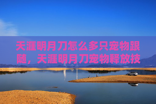天涯明月刀怎么多只宠物跟随，天涯明月刀宠物释放技巧全攻略