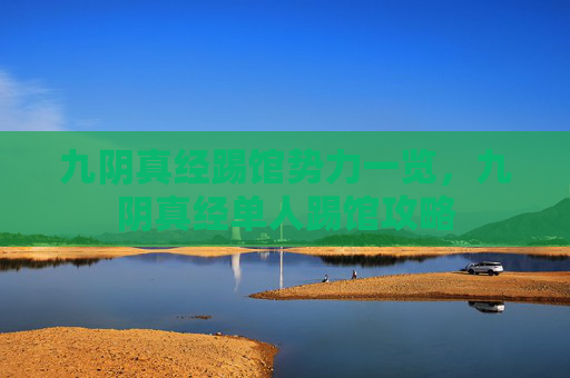 九阴真经踢馆势力一览，九阴真经单人踢馆攻略