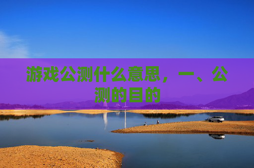 游戏公测什么意思，一、公测的目的