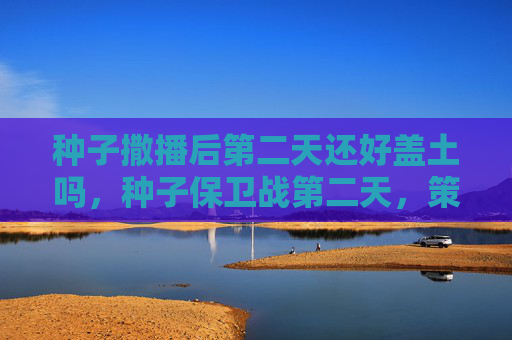 种子撒播后第二天还好盖土吗，种子保卫战第二天，策略与技巧全解析