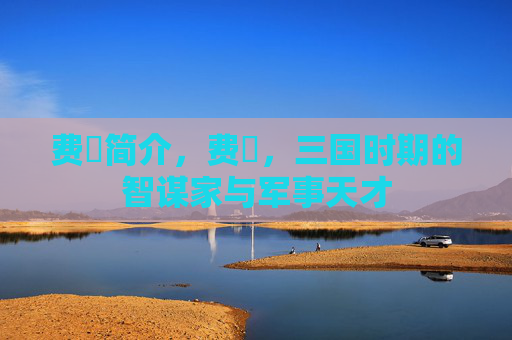费祎简介，费祎，三国时期的智谋家与军事天才