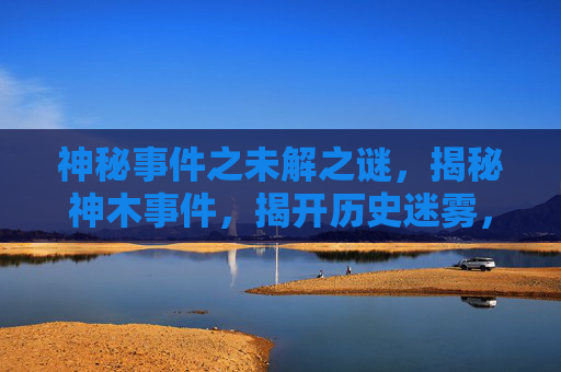 神秘事件之未解之谜，揭秘神木事件，揭开历史迷雾，探寻真相之旅