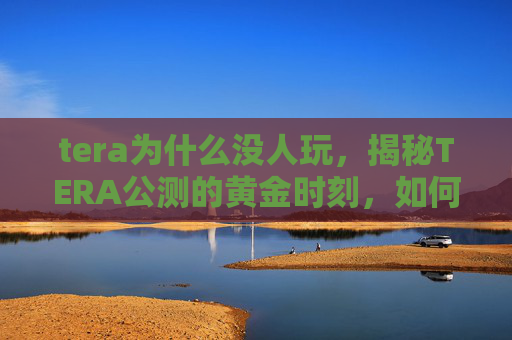 tera为什么没人玩，揭秘TERA公测的黄金时刻，如何抓住游戏上线的先机