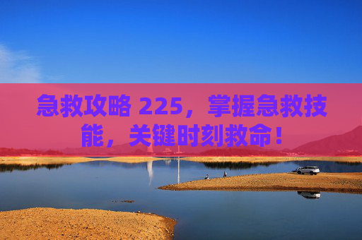 急救攻略 225，掌握急救技能，关键时刻救命！